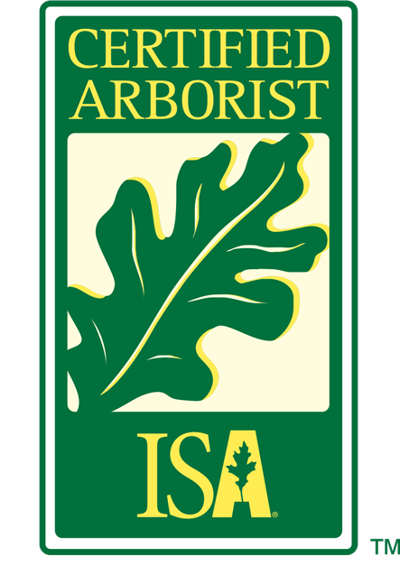 ISA Logo Opens in new window