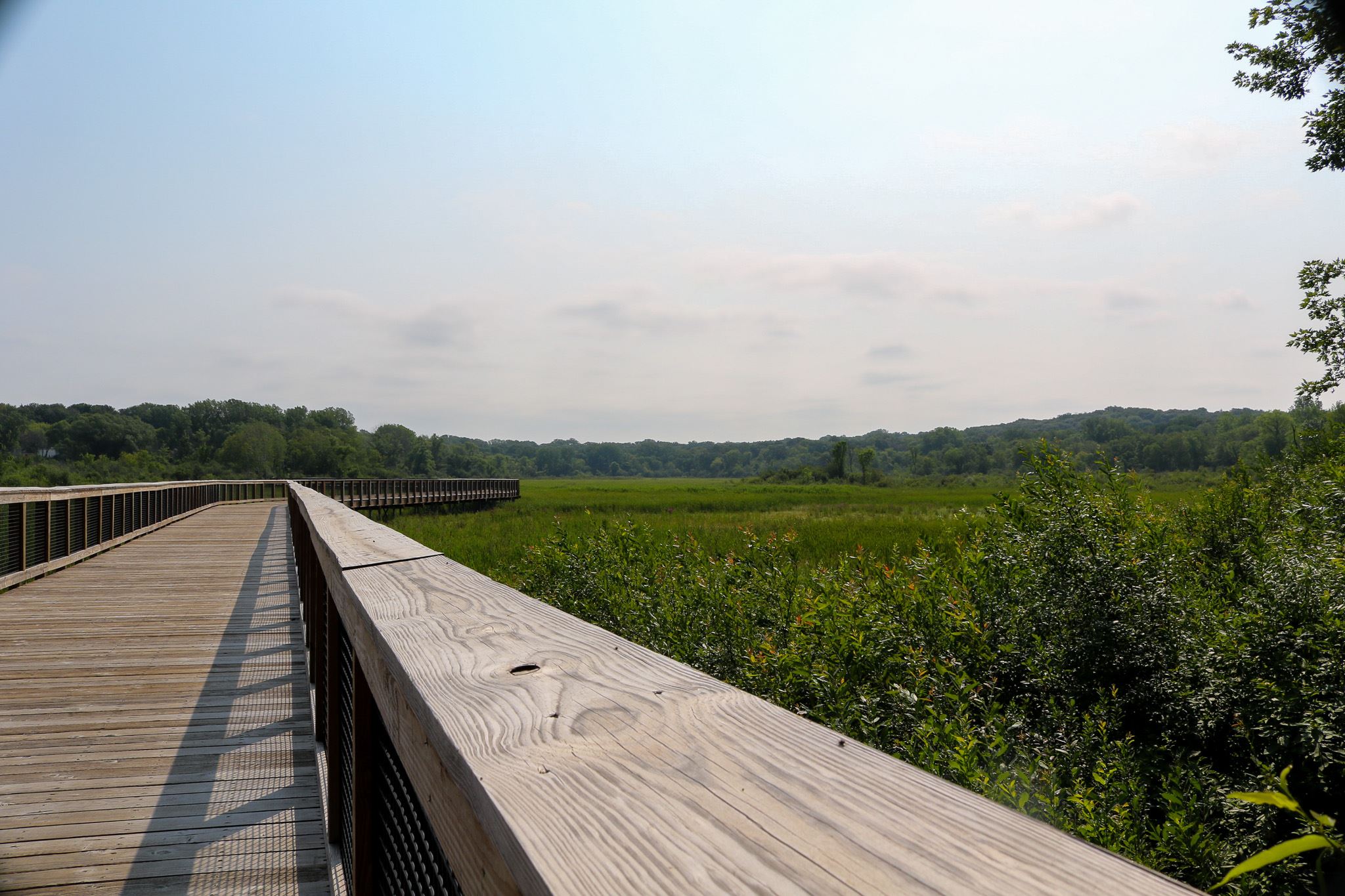 Kelleher Park greenway bridge