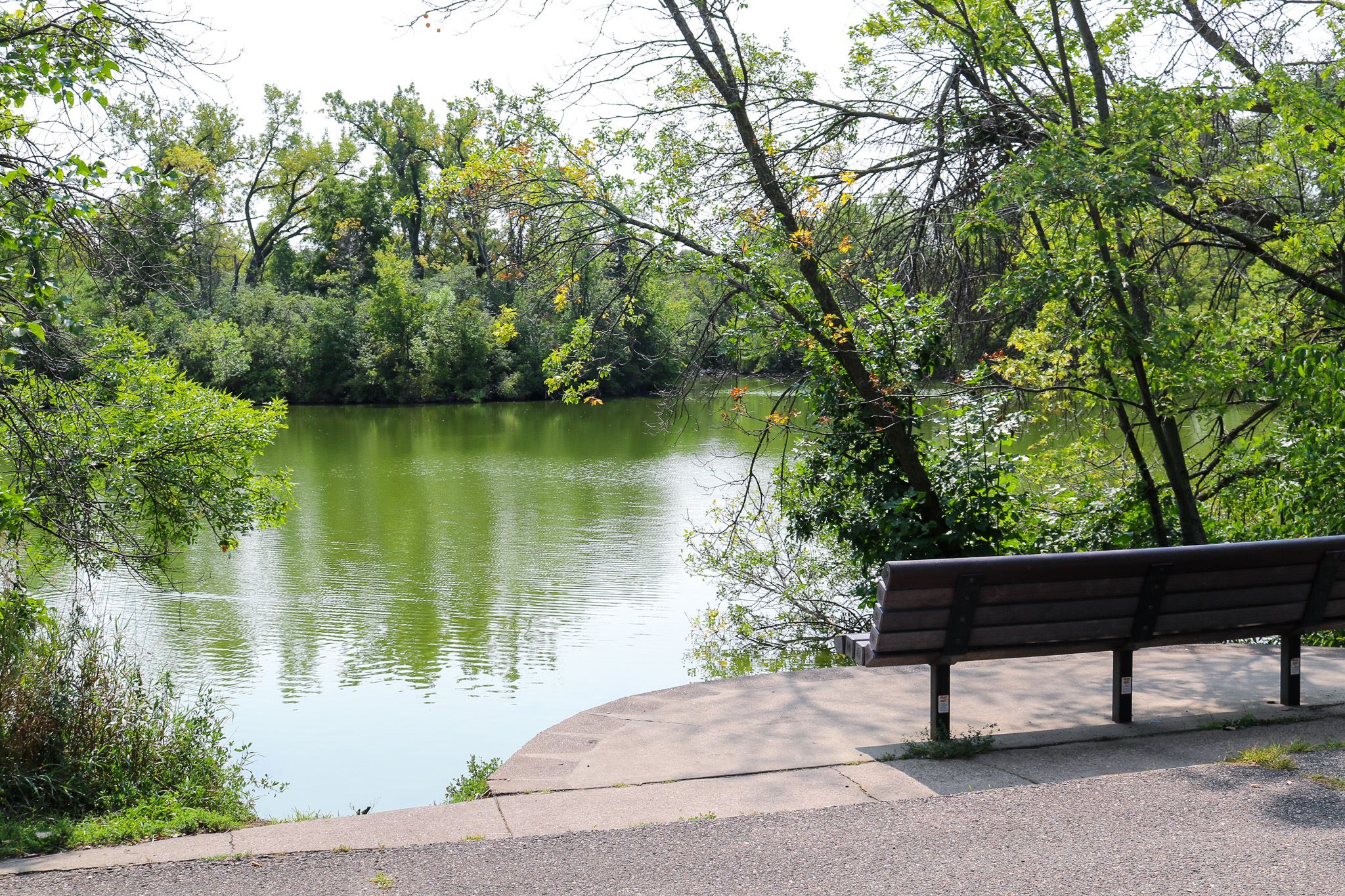 Vista View Park bench with a pond view