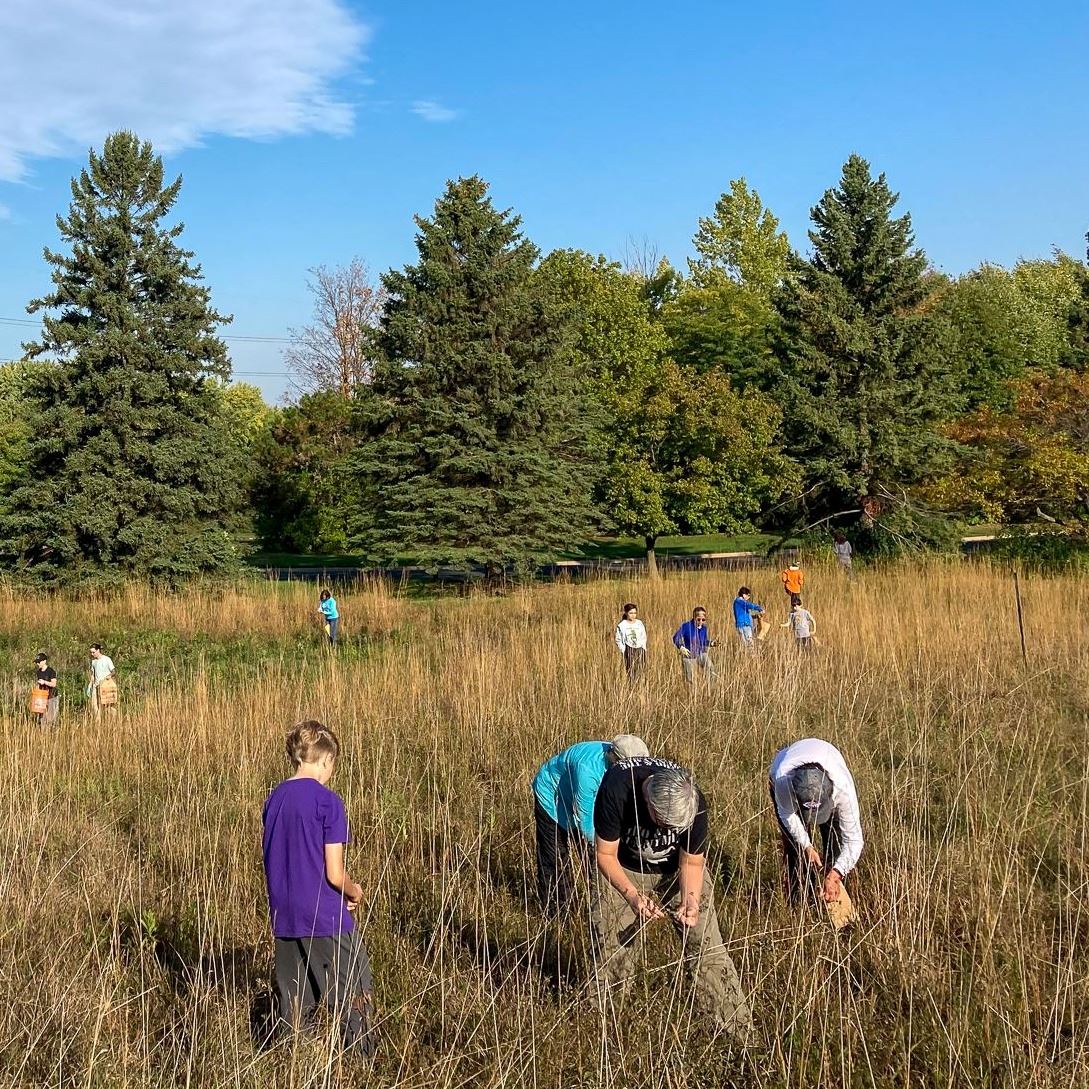 Volunteers planting seeds in the woods