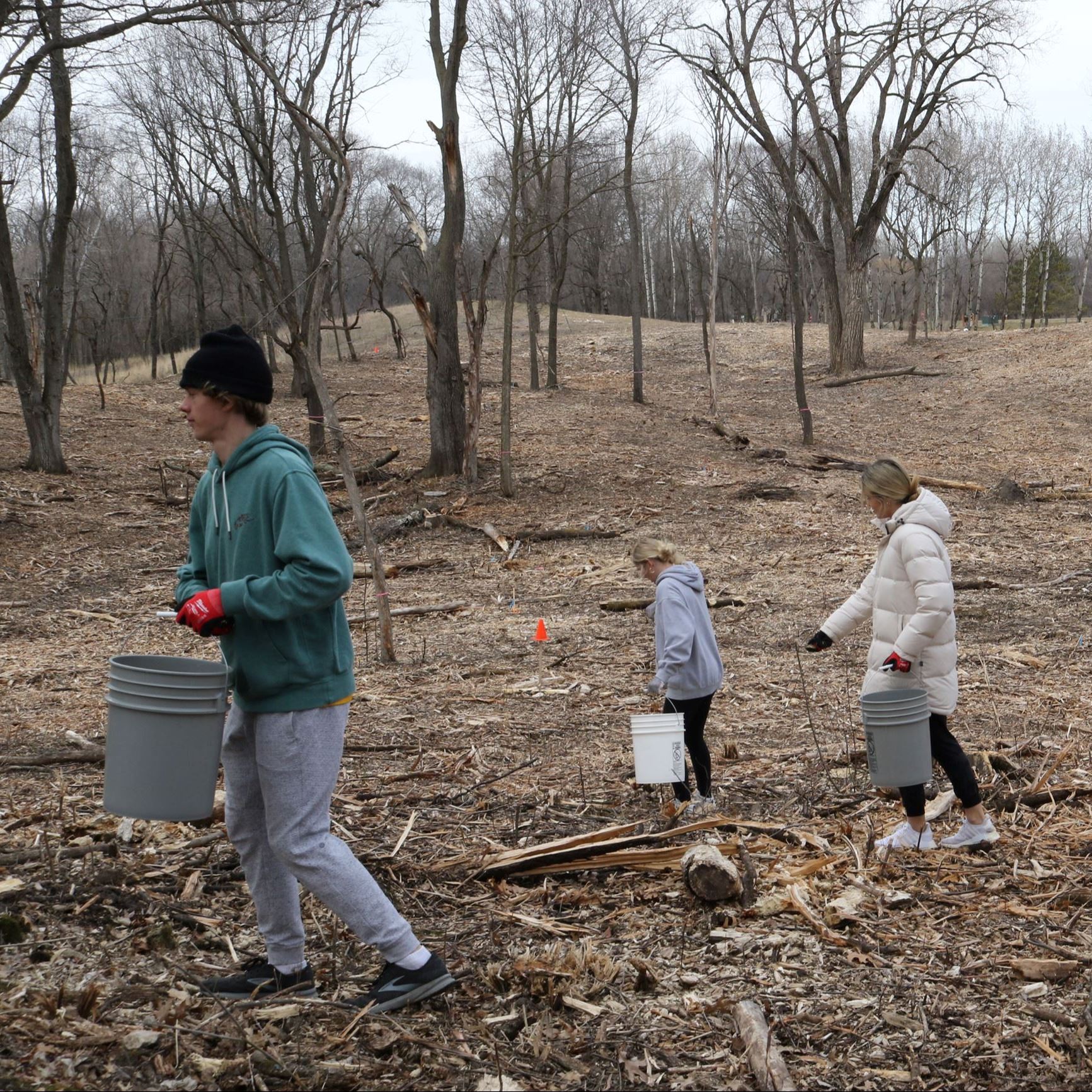 Volunteers planting seeds
