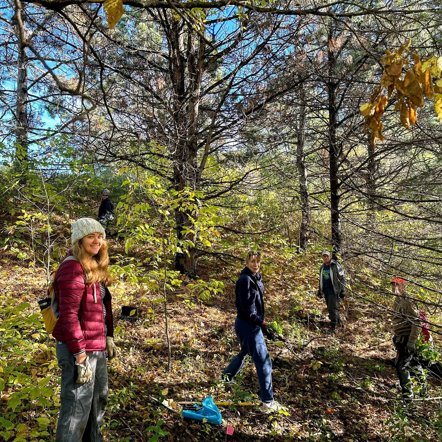 Volunteers collecting seeds