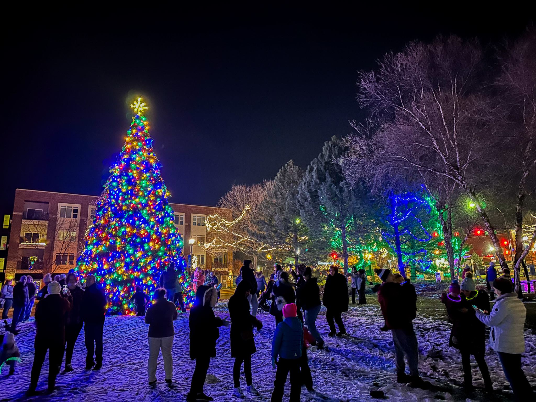 Crowd gathered around a large, colorfully lit up tree in the winter