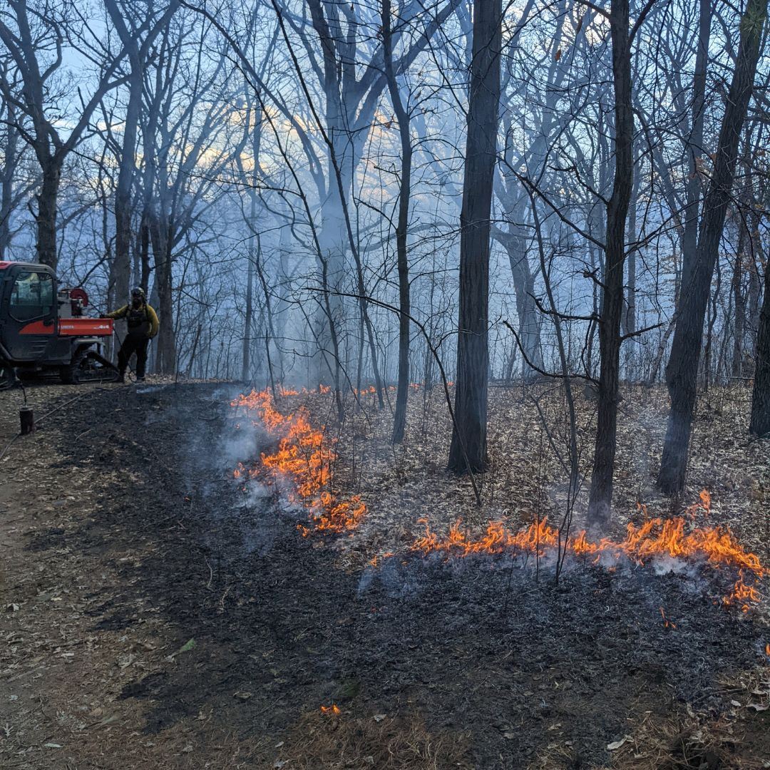 Controlled burn in wooded area