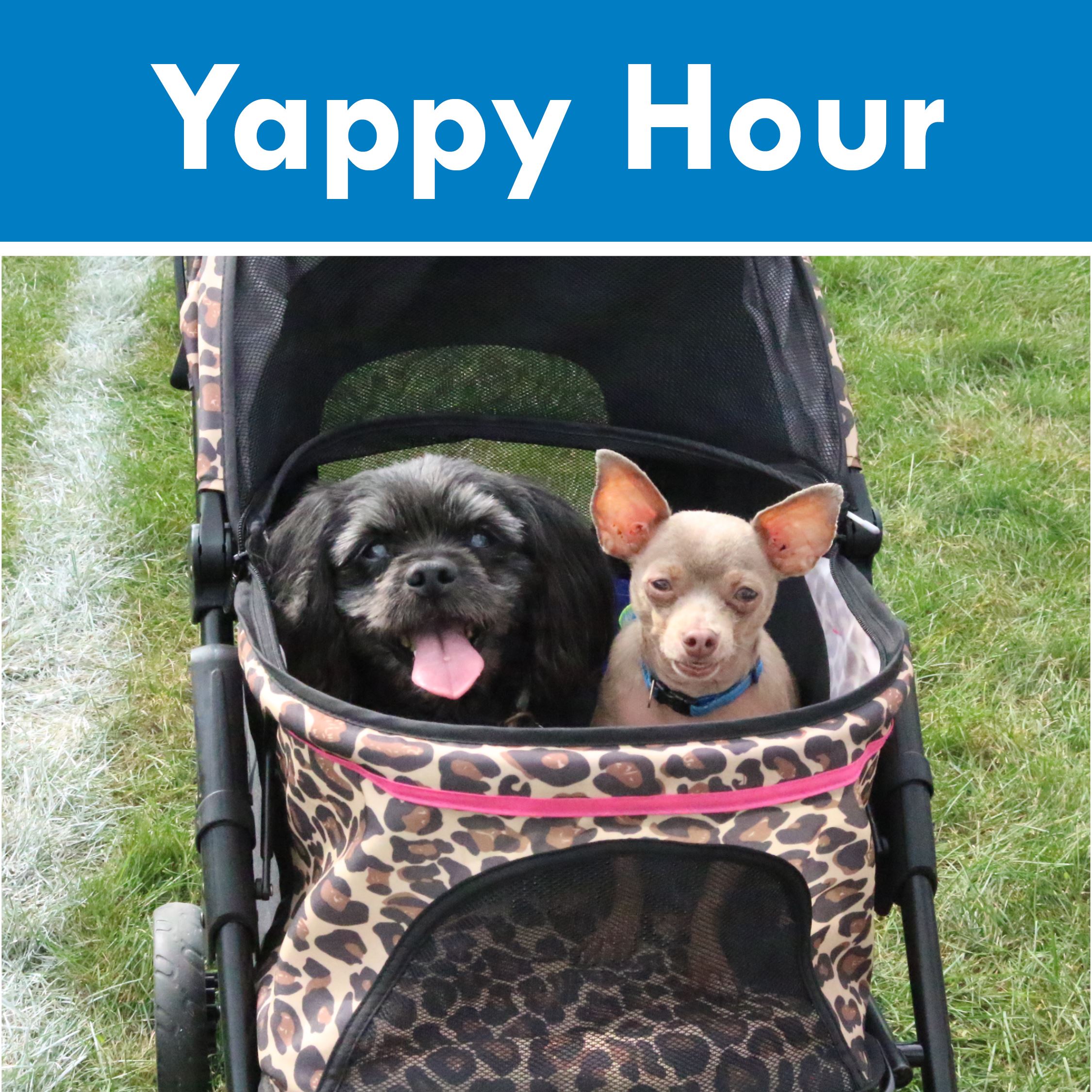 2025 yappy hour