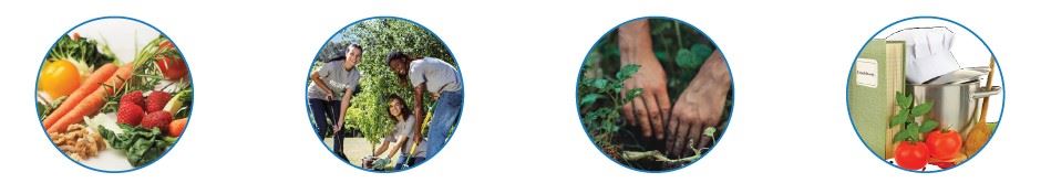 Photos of raw vegetables, people planting and cooking supplies